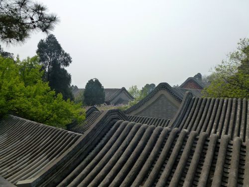 china the roof of the beijing