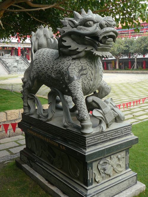 china dragon lion