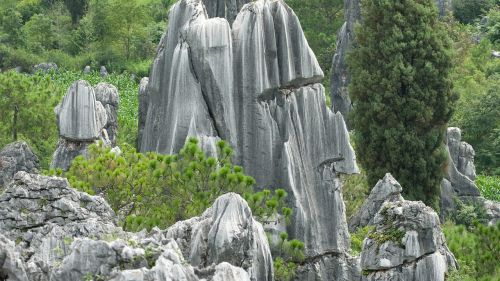 china kunming stone forest