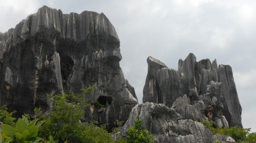 china kunming stone forest