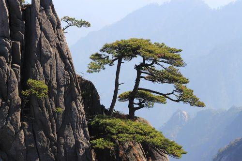 china huangshan mountain