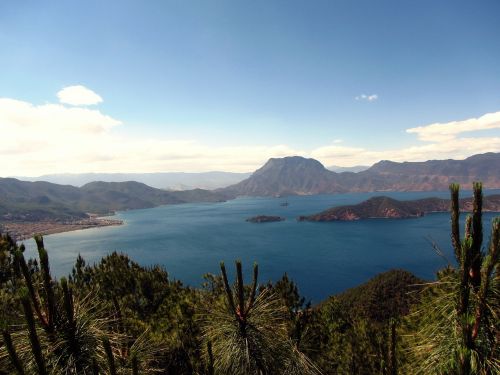 china's yunnan travel blue trees