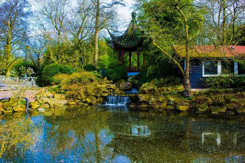 chinese garden rotterdam