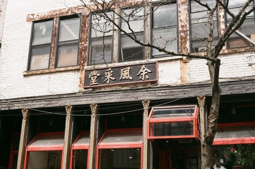chinese asian restaurant