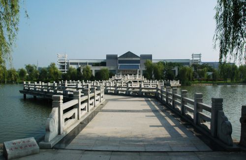 Chinese Bridge And Park