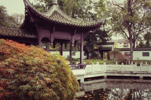 chinese garden park japanese