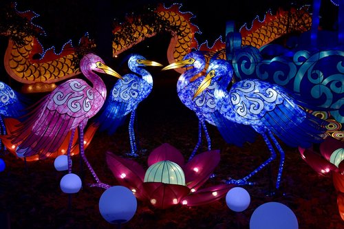 chinese lanterns  night  lantern