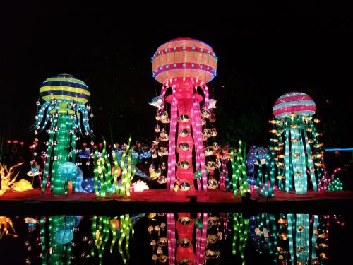 chinese new year night lantern festival