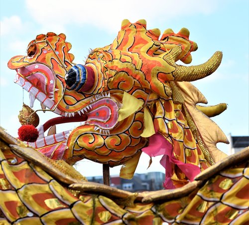 chinese new year  dragon  lion