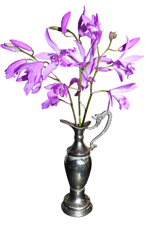 chinese orchids vase spring