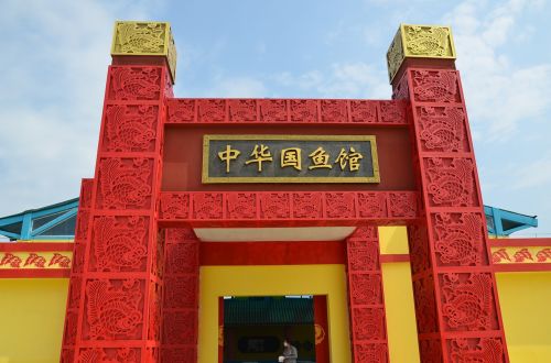 chinese state fish house goldfish arena