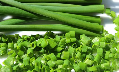 chive  young cabbage  spring