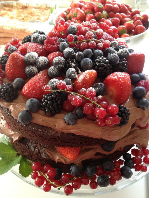 chocolate cake pastry red currant