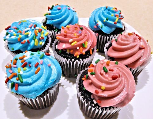 chocolate mini cupcakes blue pink frosting sprinkles