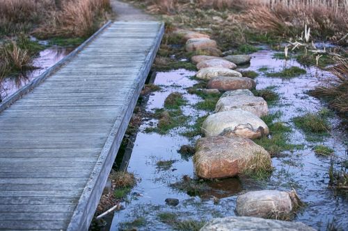 choice bridge stepping stones