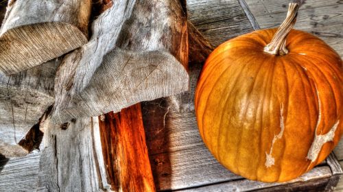 Chopped Wood And Pumpkin