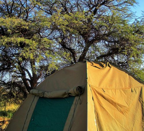 Chopper Tent In The Bush