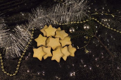 christmas cookie biscuit