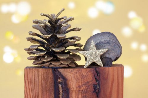 christmas pine cones star