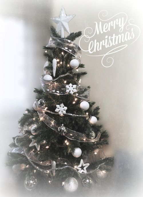 christmas christmas tree wishes