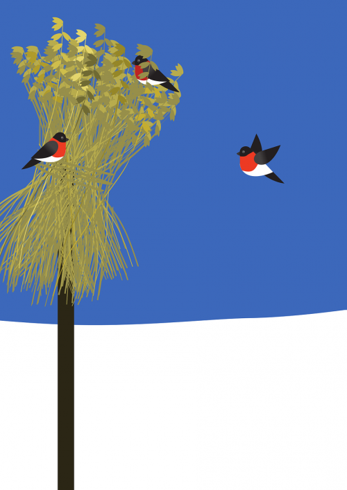 christmas sheaf bullfinch