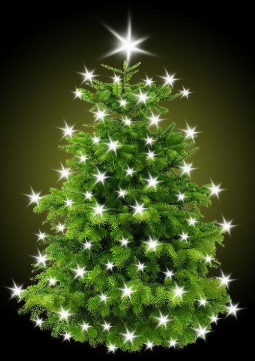 christmas christmas tree tree