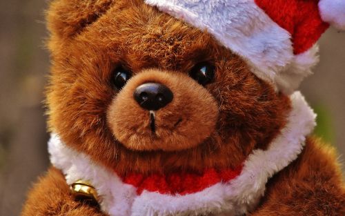 christmas greeting card teddy