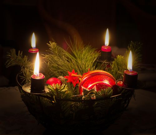 christmas candles fir green