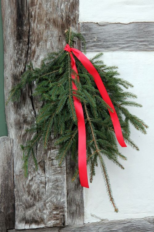 christmas fir green fir