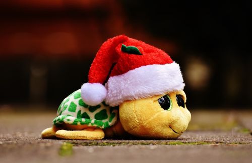 christmas turtle stuffed animal