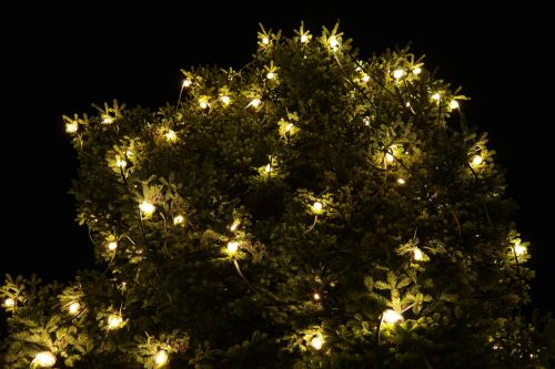 christmas lichterkette tree