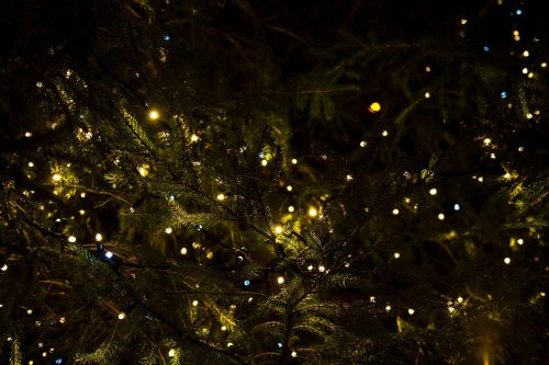 christmas lights tree