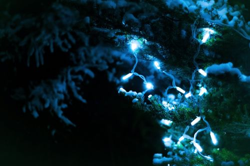christmas lights tree