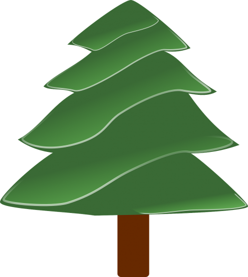 christmas tree plant