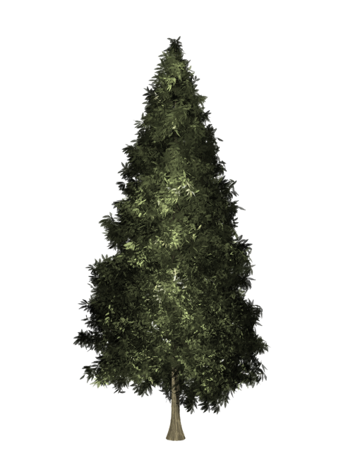 christmas transparent isolated