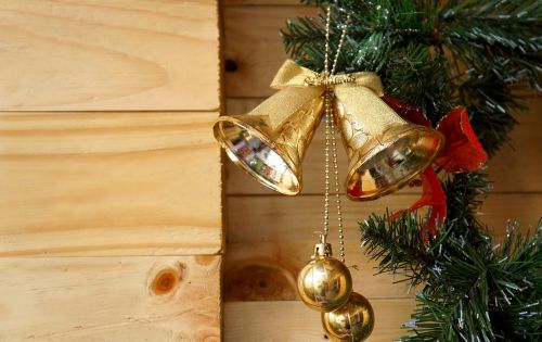christmas decorate pine wood