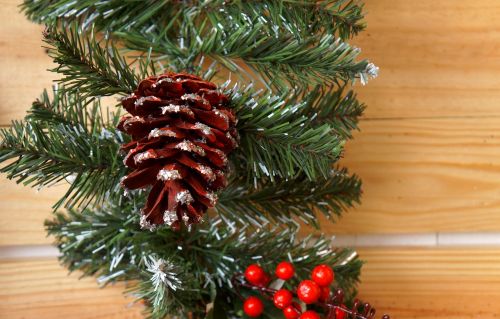 christmas decorate pine wood