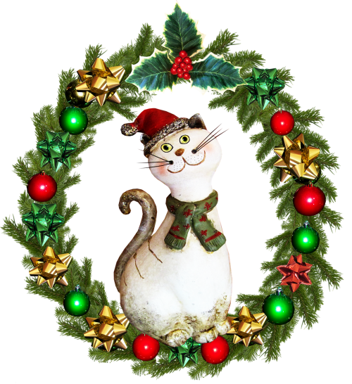christmas wreath cat