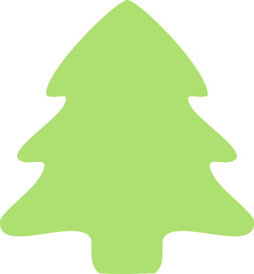 christmas tree fir tree
