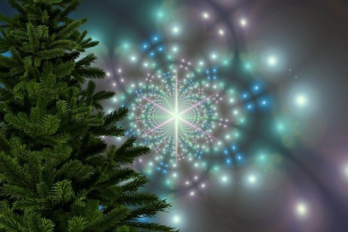 christmas  fir tree  light