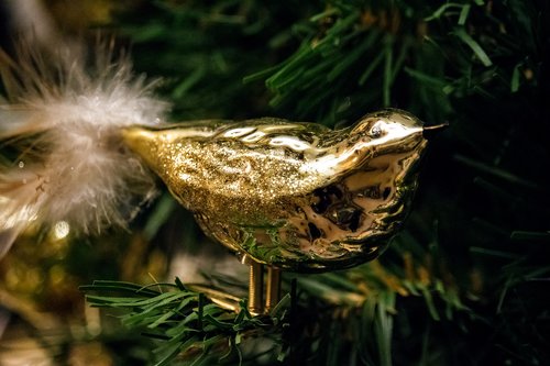 christmas  bird  gold