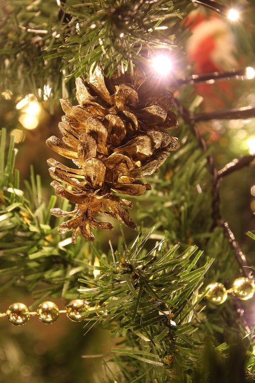 christmas  pine cones  decoration