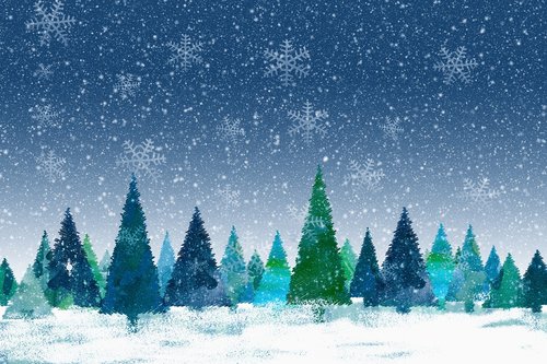 christmas  winter  fir tree
