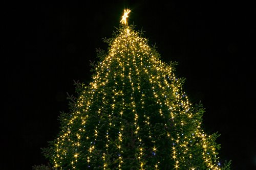 christmas  tree  lights
