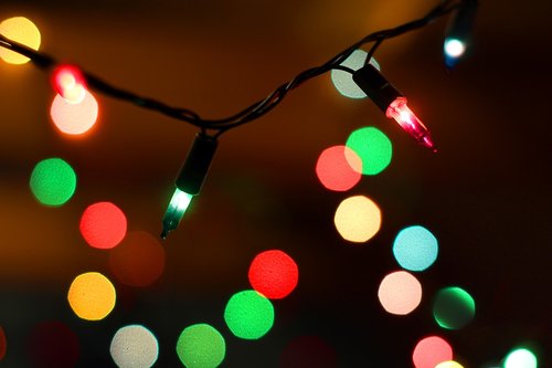 christmas  the lights  christmas tree