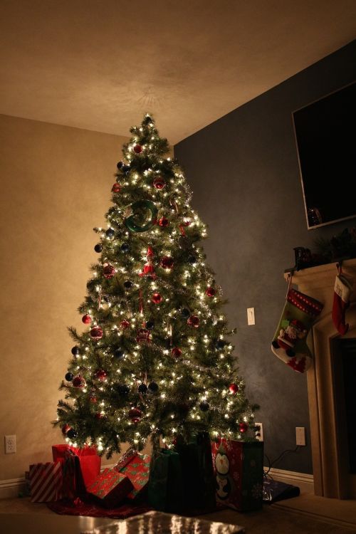 christmas tree magical