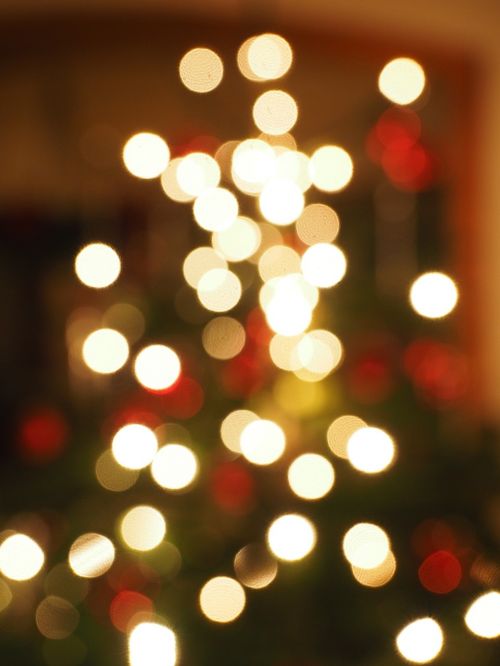 christmas out of focus bokeh