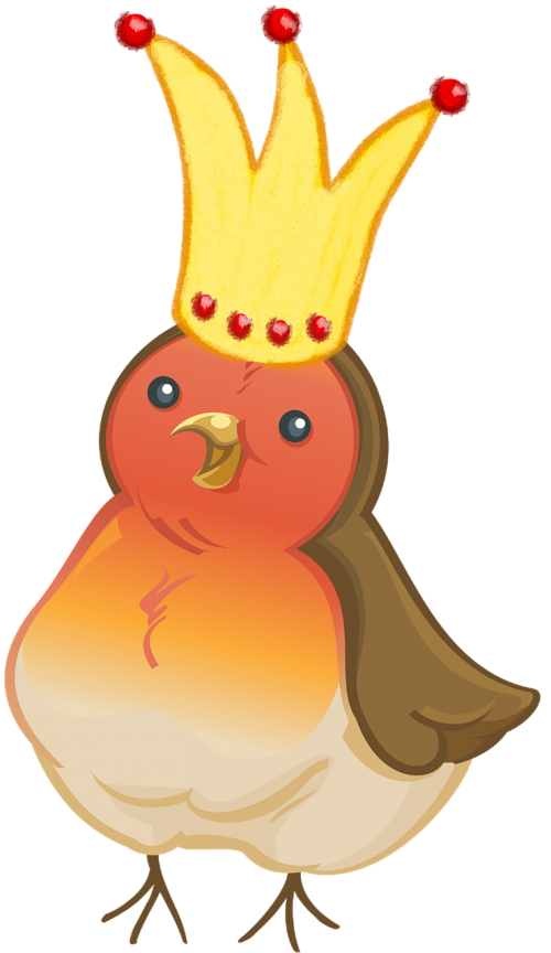 christmas bird crown