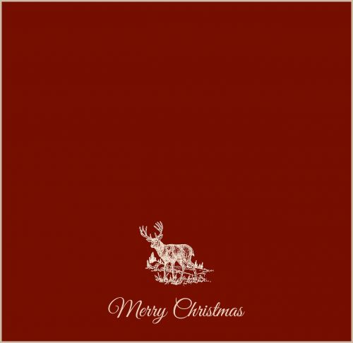 christmas card christmas christmas motif