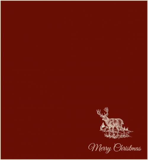 christmas card christmas motif christmas